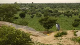 Twee mensen lopen door een groen landschap in Nigeria.