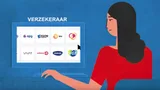 Tekening van een vrouw achter de computer. Op het scherm staan logo's van verzekeraars.