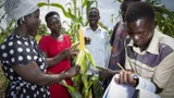 Hellen Akello en collega boeren uit Uganda.