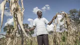 Een boer in Zimbabwe staat tussen dode gewassen.