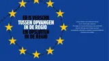 Vlag van de EU met prikkeldraad tussen de sterren en de tekst 'Er is verschil tussen opvangen in de regio en opsluiten in de regio'.