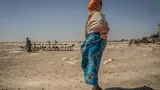 Een vrouw met hoofddoek staat in een woestijngebied. Op de achtergrond een kudde vee.