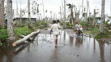 People walk in an area where trees and buildings are damaged.