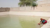 A woman scoops water from a pool.
