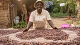 Eerlijke cacao Ghana Leticia cacaoboer 2024