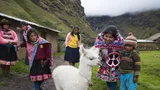 Een groep mensen rondom een alpaca.