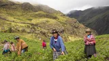 Boeren aan het werk op een akker in de bergen van Peru.