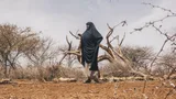 Droogte - foto van Diyaara tussen de karkassen van haar vee in Kenia