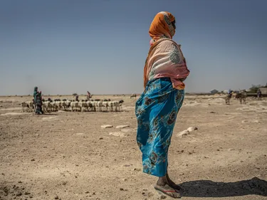 Een groep herders arriveert met hun vee in de gemeenschap van Sincaro, in de regio Sanag, waar Oxfam een ​​watervoorzieningssysteem heeft aangelegd voor mens en dier.