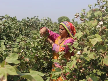 Microkrediet Pakistan