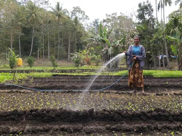 Marta sproeit water op haar gewassen