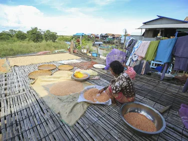 Foto van Cambodjaanse vrouw die garnalen bereidt