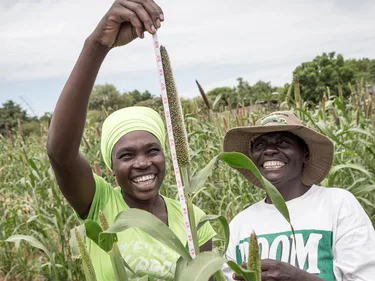Oxfam novib zimbabwe voedselzekerheid klimaatverandering