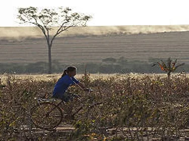 Een fietser met op de achtergrond stofwolken van vrachtwagens met suikerriet.