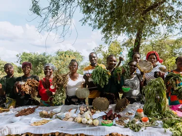 Wij ondersteunen deze boeren in Zambia in het diversificeren van hun producten en betere toegang tot zaden.