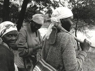 Oxfam novib green belt movement 1987 3 aangepast