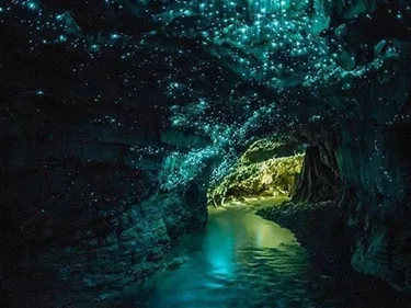 Glowworm cave