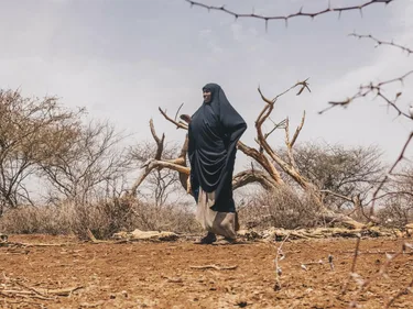 Droogte - foto van Diyaara tussen de karkassen van haar vee in Kenia