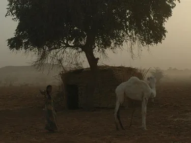 Niger meisje kameel