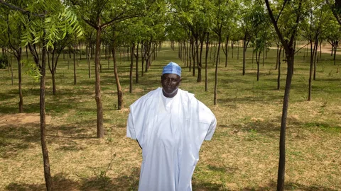 Manir Garba staat voor een boomgaard.
