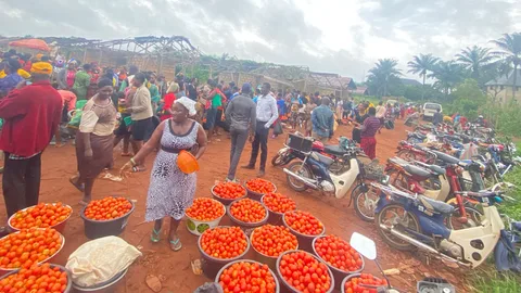 Coldbox manumaz work in progress