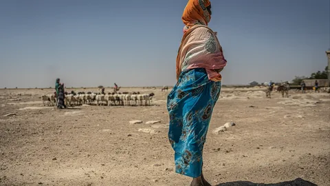 Een groep herders arriveert met hun vee in de gemeenschap van Sincaro, in de regio Sanag, waar Oxfam een ​​watervoorzieningssysteem heeft aangelegd voor mens en dier.