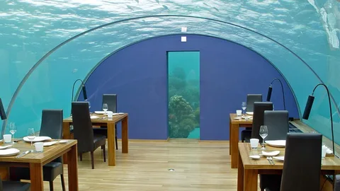 Een restaurant met een glazen koepel waardoor je het water erboven ziet.
