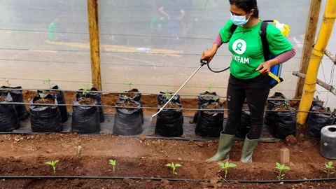 Rubia Martínez Guevara spuit organisch bestrijdingsmiddel. Ze draagt een masker en een t-shirt van Oxfam.