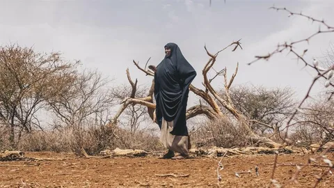Diyaara uit Kenia lijdt onder de droogte. Om haar heen staan verdorde takken.