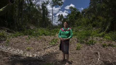 Vrouw in kaal gebied tussen bomen