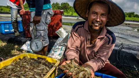 Foto van garnalenkweker in Indonesië