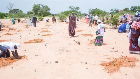 Mensen planten bomen in het zand.