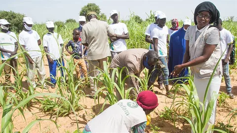 Mensen planten bomen in het zand.
