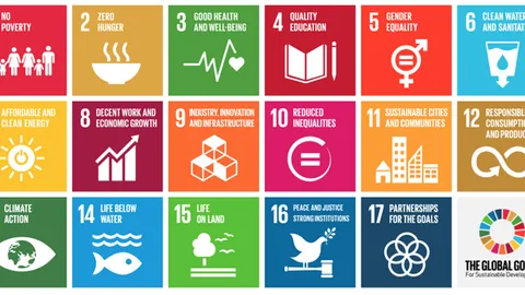 Global goals werelddoelen