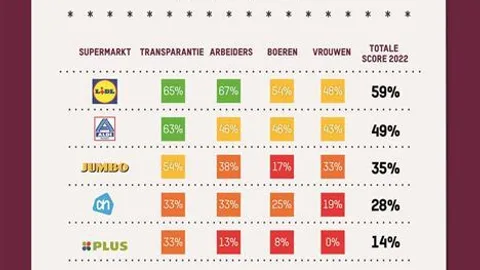 Final  Dutch 2022 scorecards full