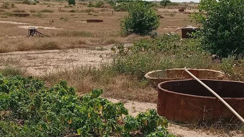 photograph of a field on Abdou's farm showing vegetables and irrigation pumps