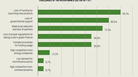 A graph showing challenges of the microfinance sector.