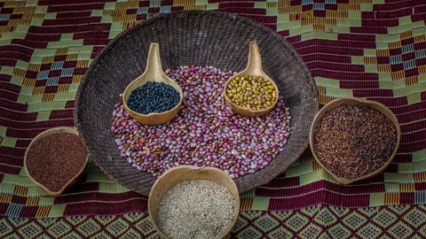 Bowls with different kinds of seeds.