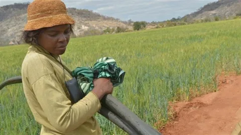 An African woman with a field behind her.