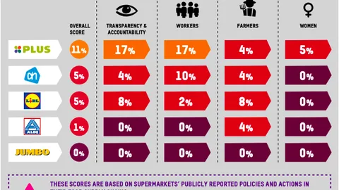 Infographic which shows how Dutch supermarkets perform on human rights issues.