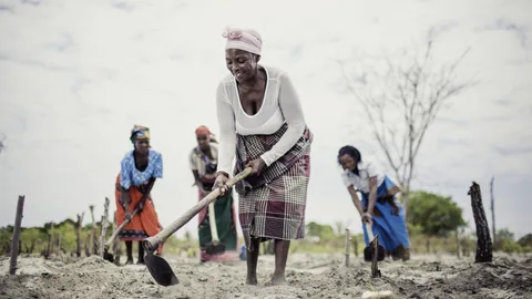 Photograph of a group of women working in a field