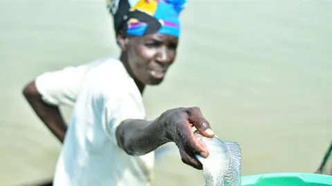 Photograph of a woman putting a fish in a bucket