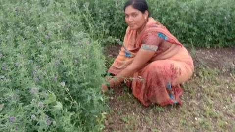 Photograph of Sitabai Ramhari Bhore