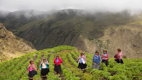 Deelnemers van de boerenveldschool staan in een gedeeld aardappelveld.