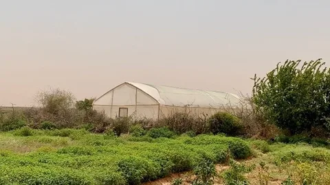 Een broeikas met een akker.