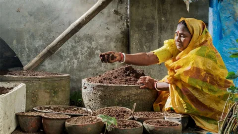 Alpona rani mistri bangladesh cultivating change