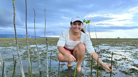 Activist Marinel hurkt naast jonge mangrovebomen die ze heeft geplant