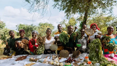 Wij ondersteunen deze boeren in Zambia in het diversificeren van hun producten en betere toegang tot zaden.