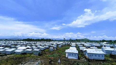 Vluchtelingenkamp kivu congo