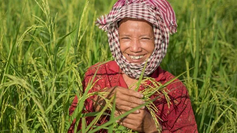 Boer in een veld met planten